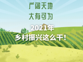 廣闊天地 大有可為 2021年鄉(xiāng)村振興這么干！