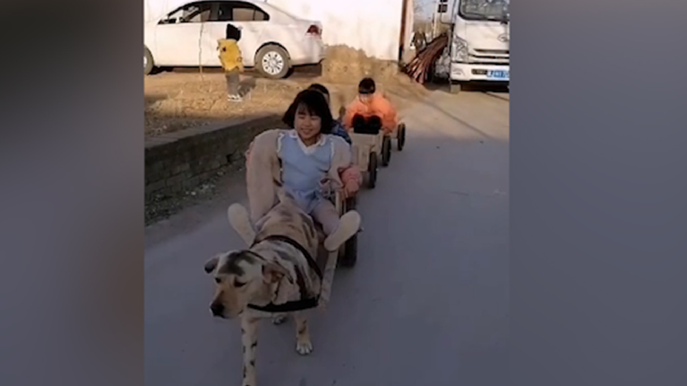 男子給孩子做縮小版小火車，家里的狗狗做動力拉著孩子上學