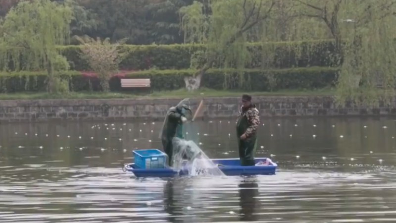 別人家的學校！安師大請師生吃一萬斤魚