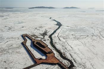 直擊遼東灣海冰